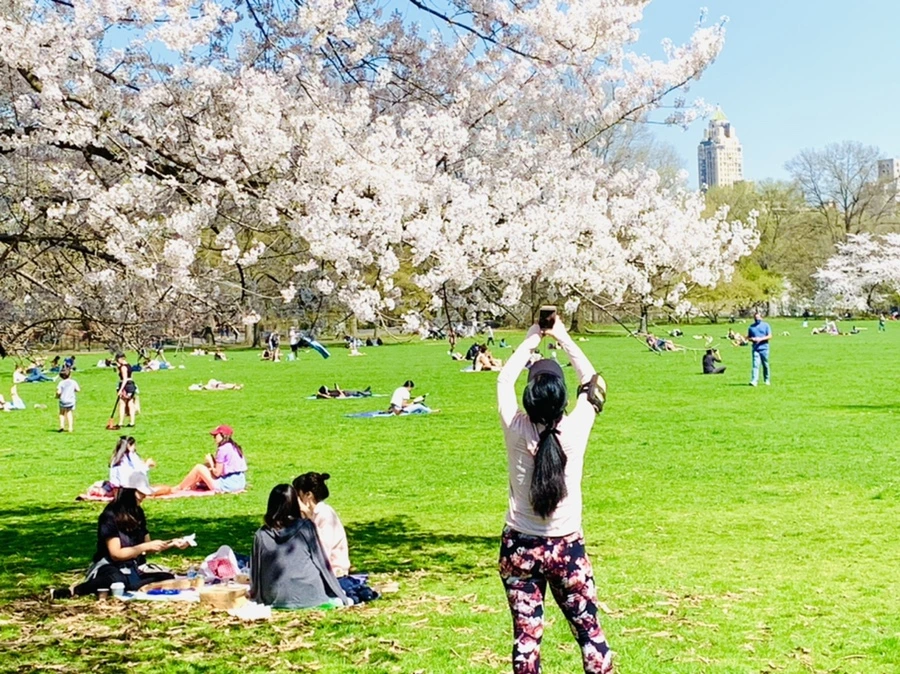 IMG_8923.jpg?type=w966