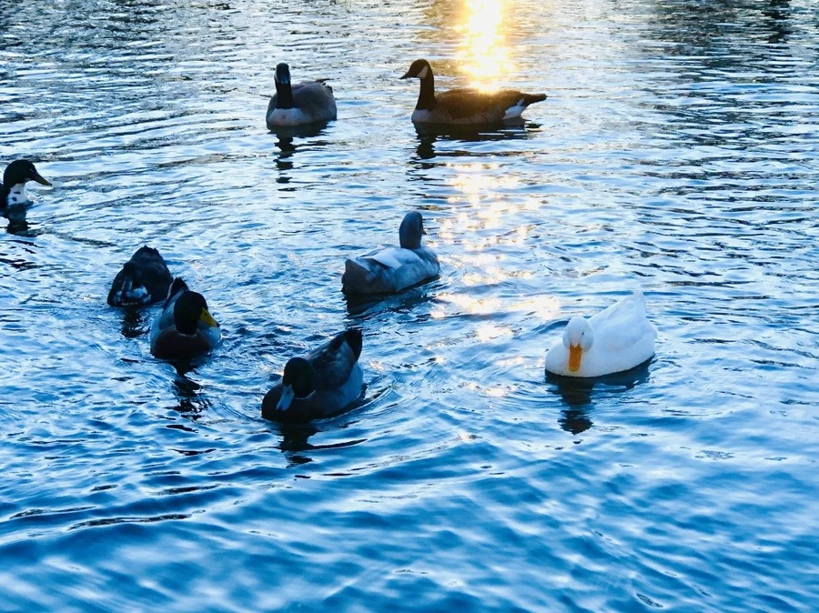 rQqMbcBZU3rvzJk_o4j5xndNEL8