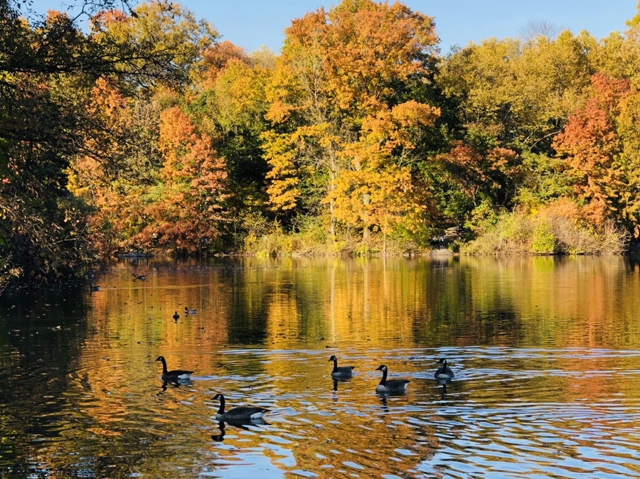 IMG_3552.jpg?type=w966