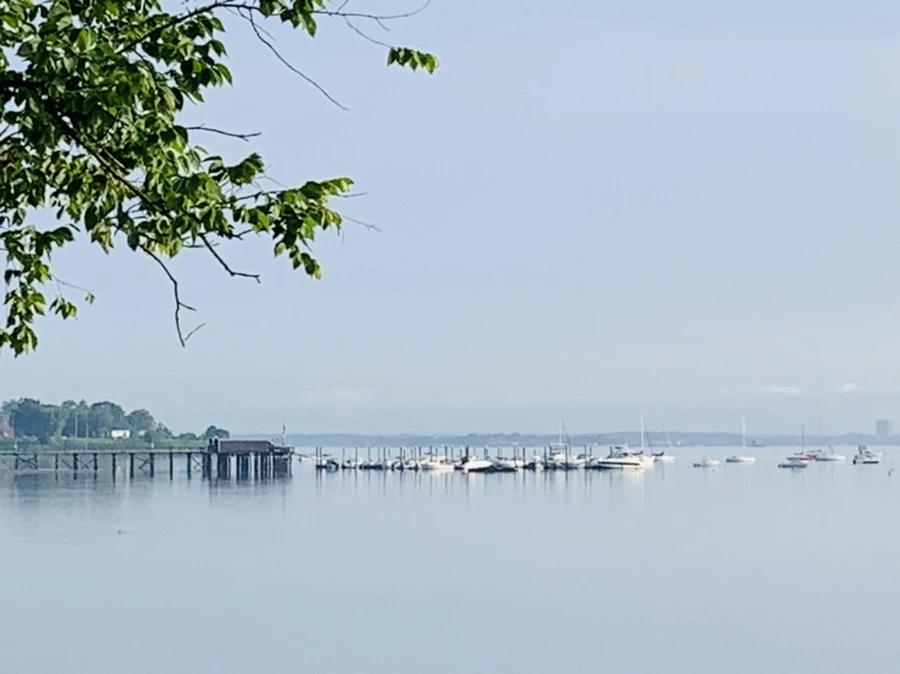 IMG_4351.jpg?type=w966