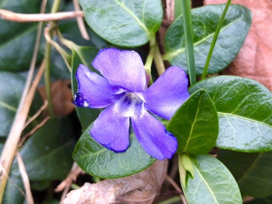 IMG_6083.jpg?type=w966