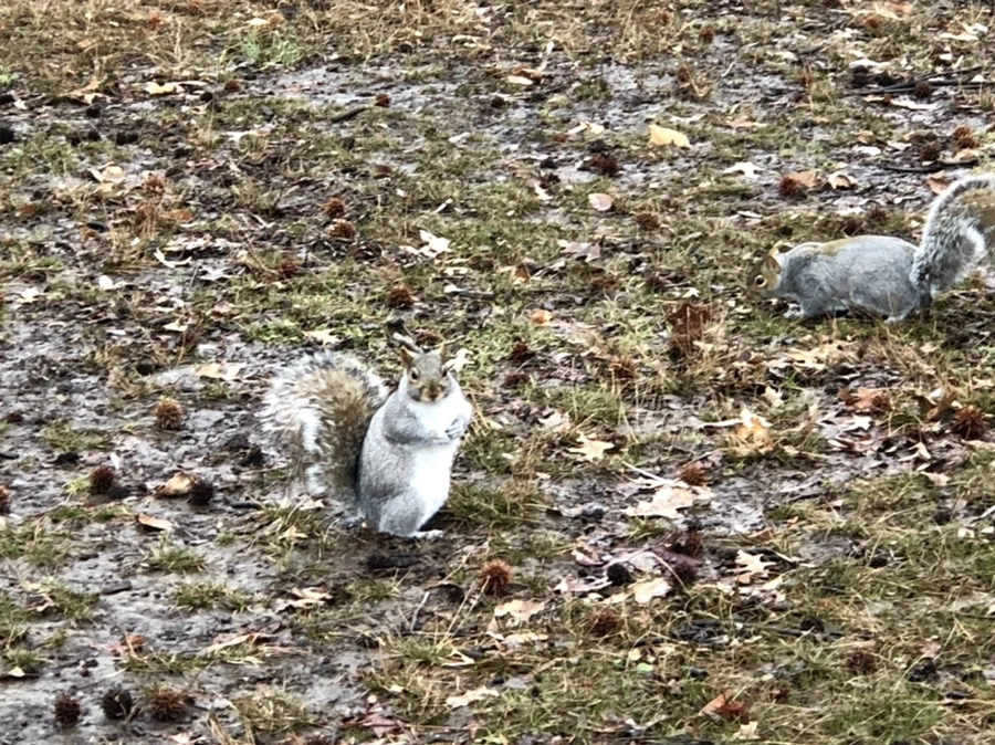 IMG_9517.jpg?type=w966