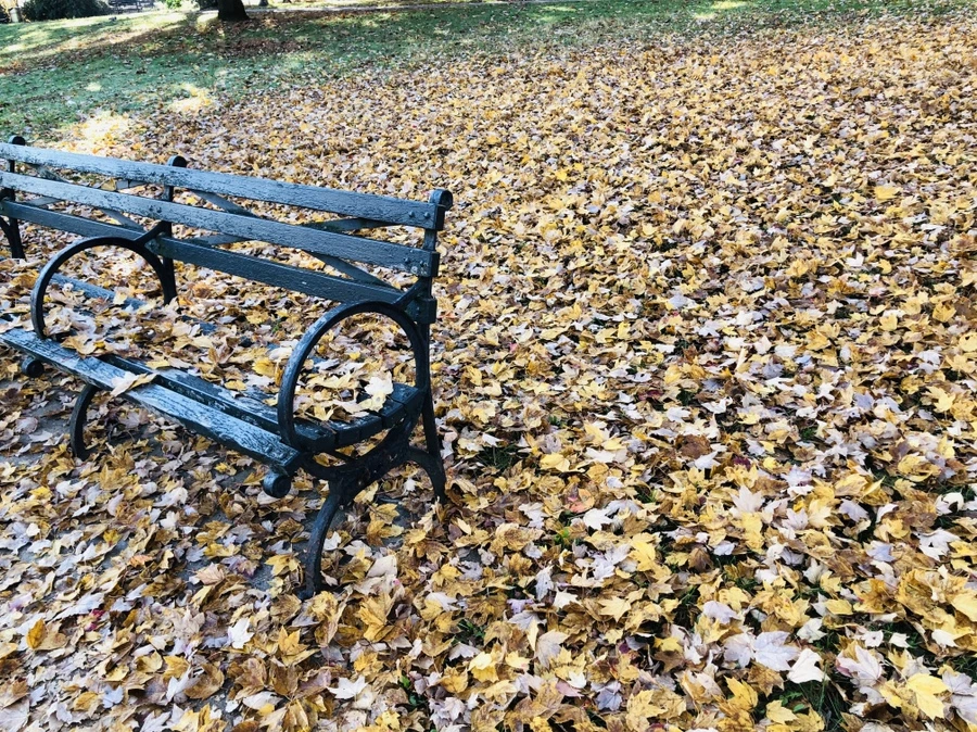 IMG_4099.jpg?type=w966