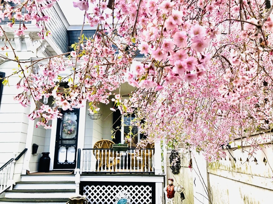 IMG_7097.jpg?type=w966