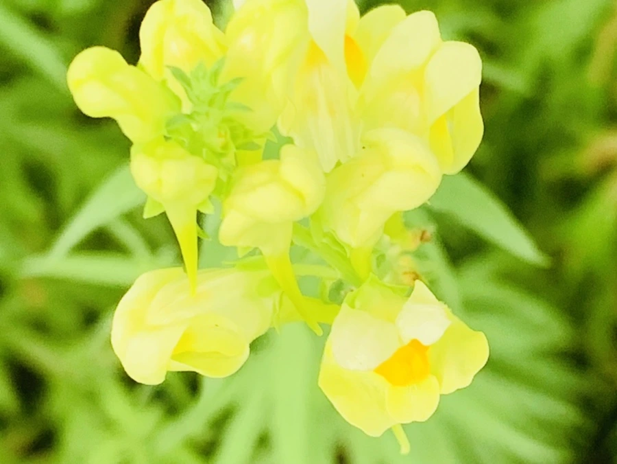 IMG_3770.jpg?type=w966