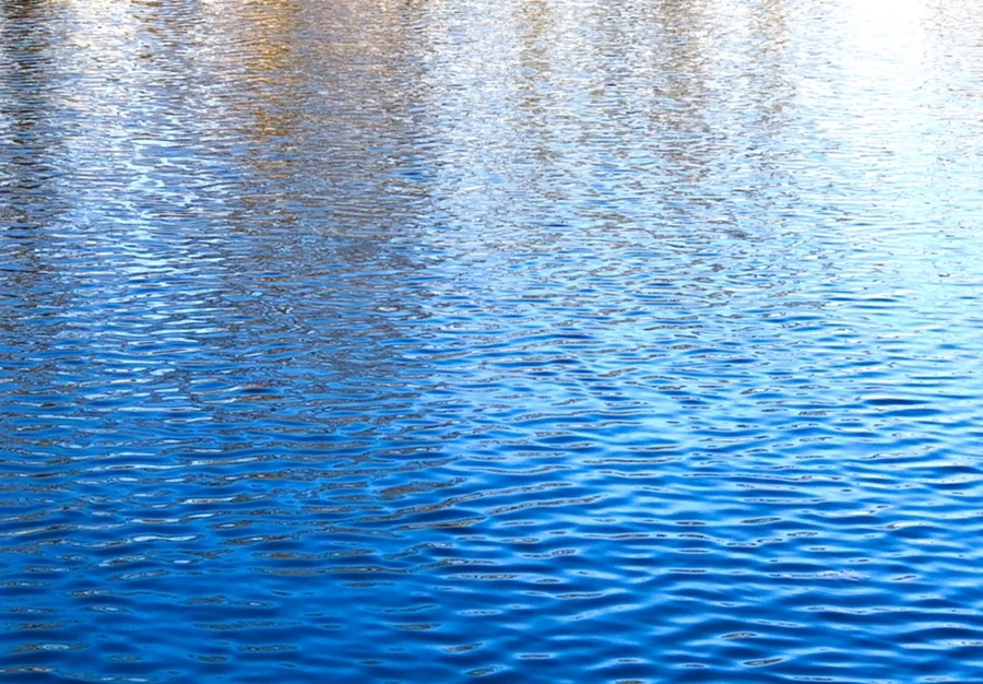 IMG_4260.jpg?type=w966