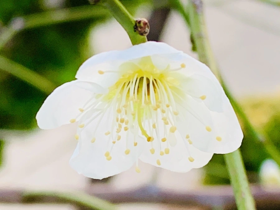 IMG_2848.jpg?type=w966