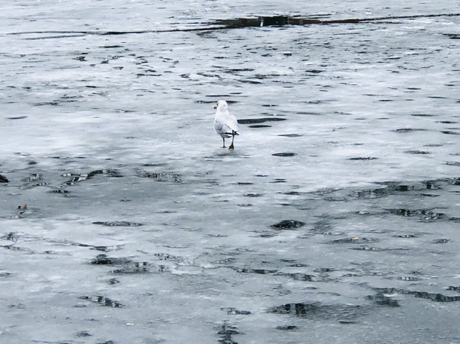 IMG_6403.jpg?type=w966