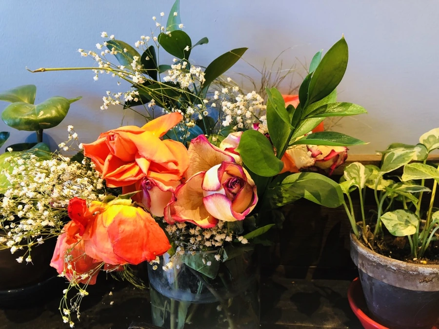 IMG_5152.jpg?type=w966