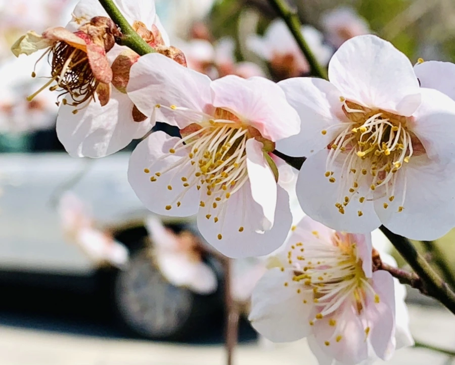 IMG_0993.jpg?type=w966