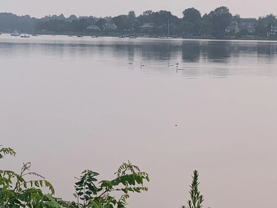 IMG_8103.jpg?type=w966