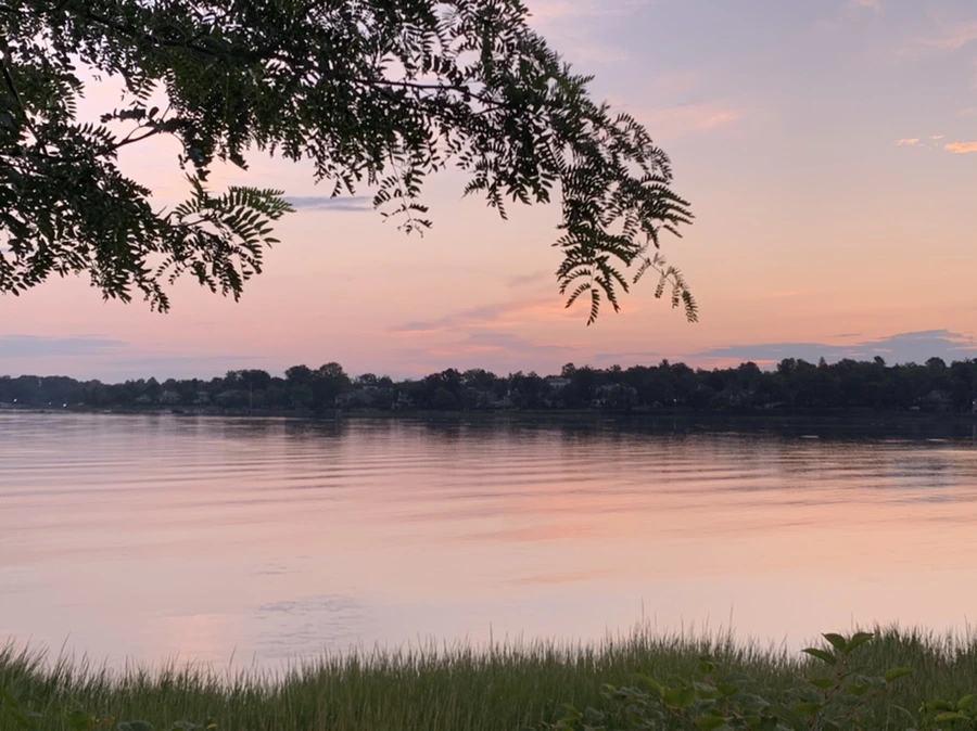 IMG_1173.jpg?type=w966