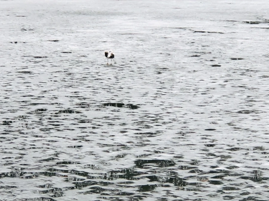 IMG_5572.jpg?type=w966