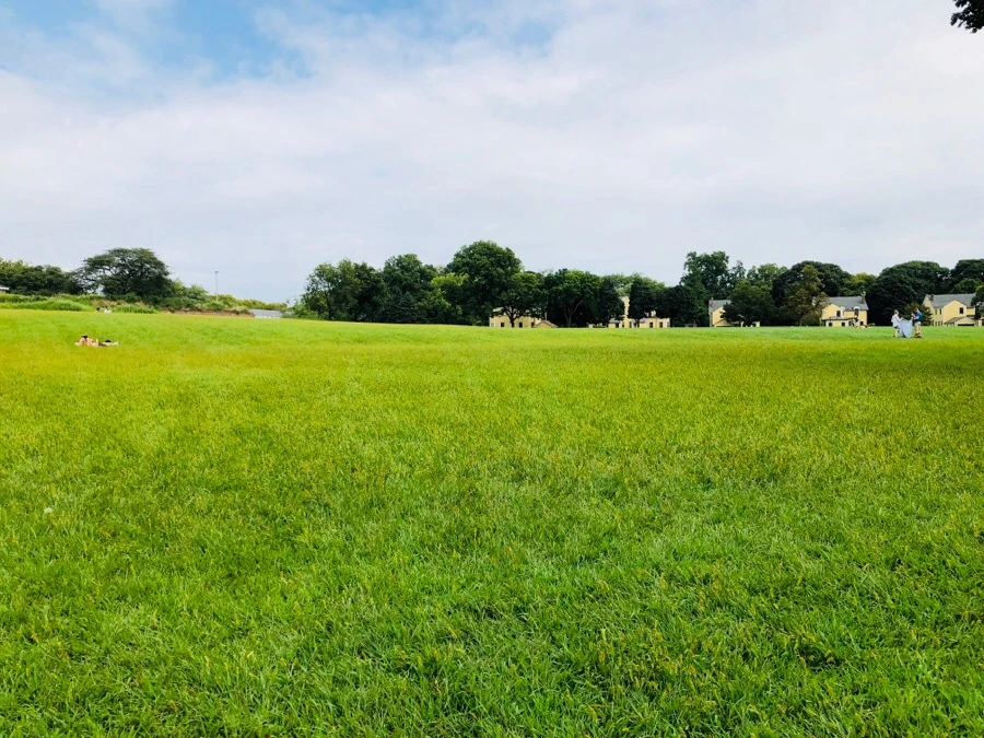 IMG_3857.jpg?type=w966