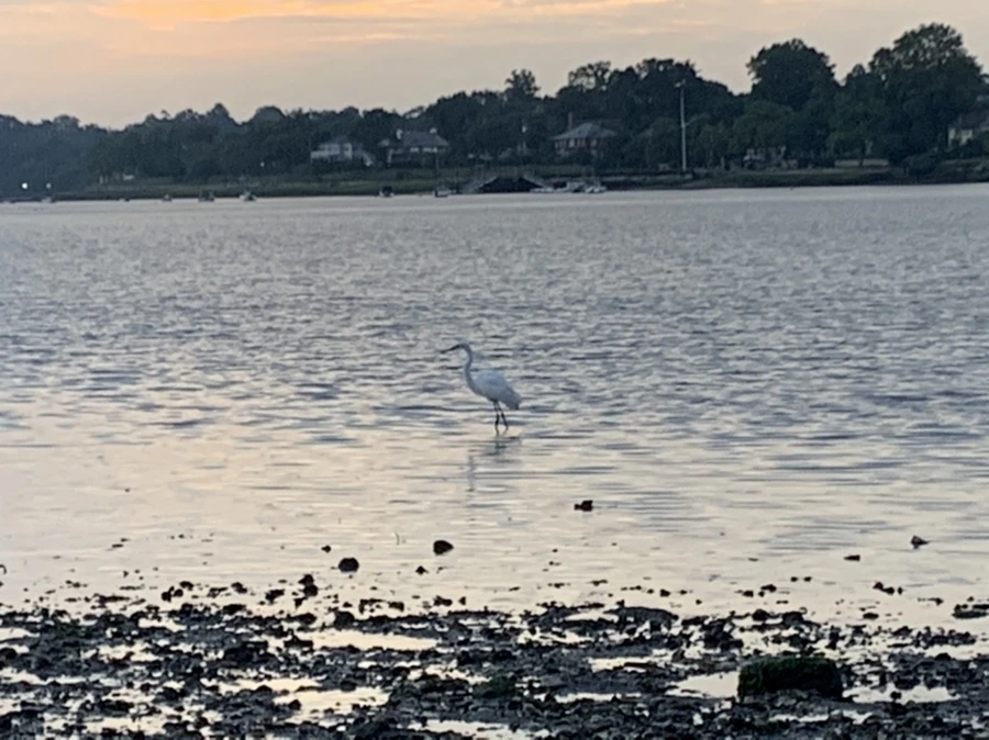 IMG_8172.jpg?type=w966