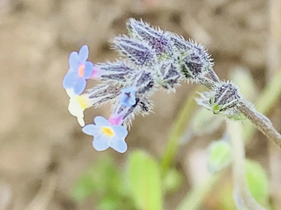 IMG_8669.jpg?type=w966