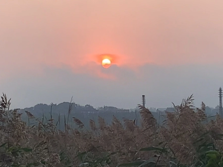 IMG_1125.jpg?type=w966