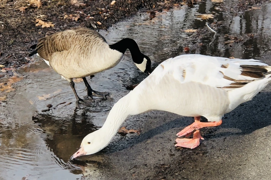 IMG_3580.jpg?type=w966