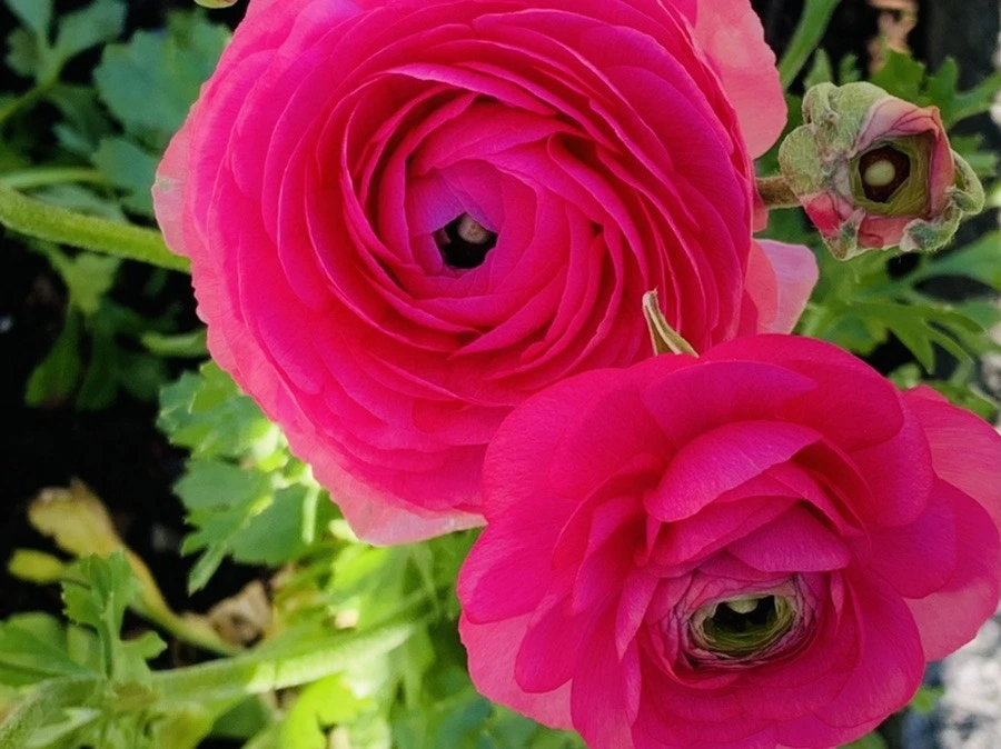 XYnSnd7PsLUEnJkyZ9HPPWH_qVg