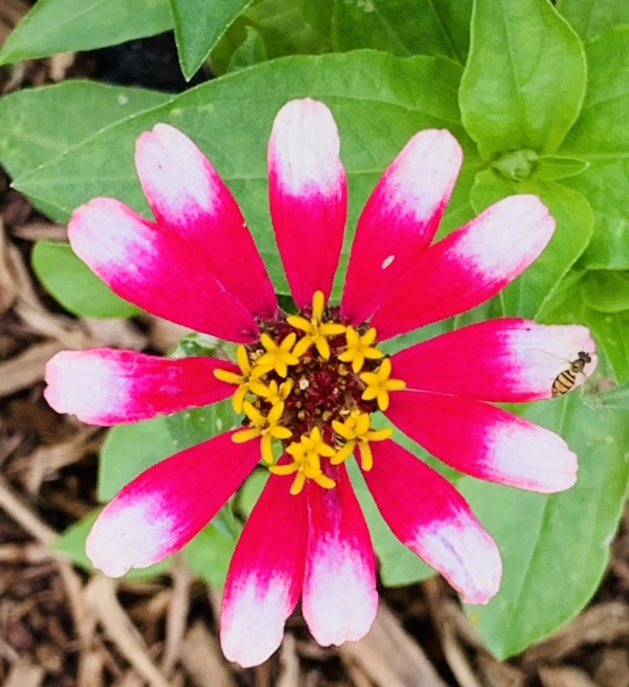 IMG_0488.jpg?type=w966