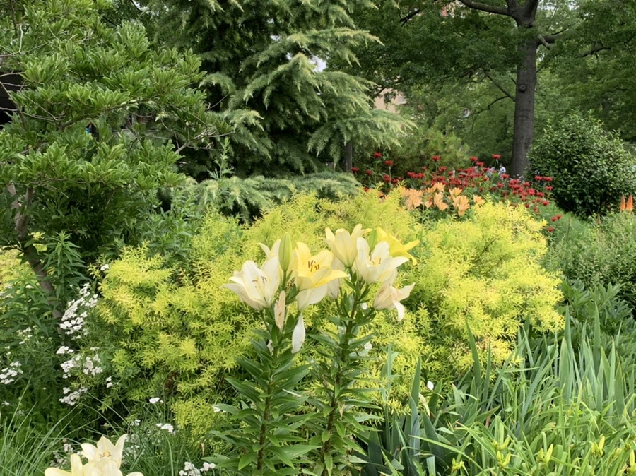 IMG_7632.jpg?type=w966