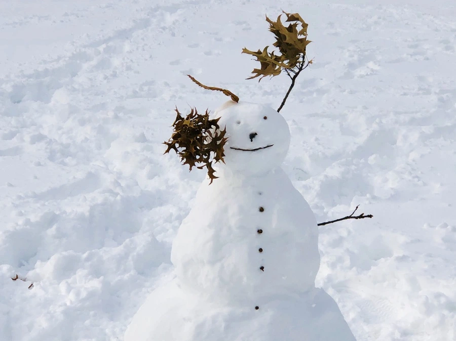 IMG_7139.jpg?type=w966