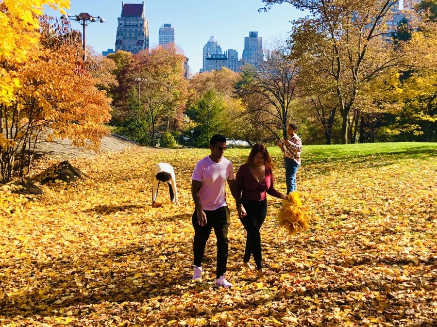 IMG_4239.jpg?type=w966