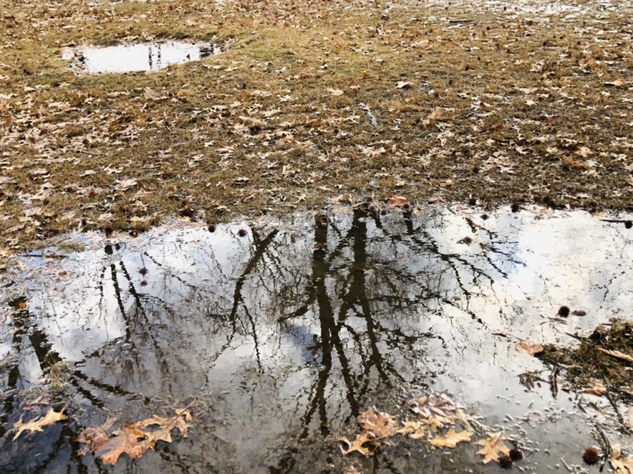 CWDiVTkEei8oqkjOqrlTuhU7biU