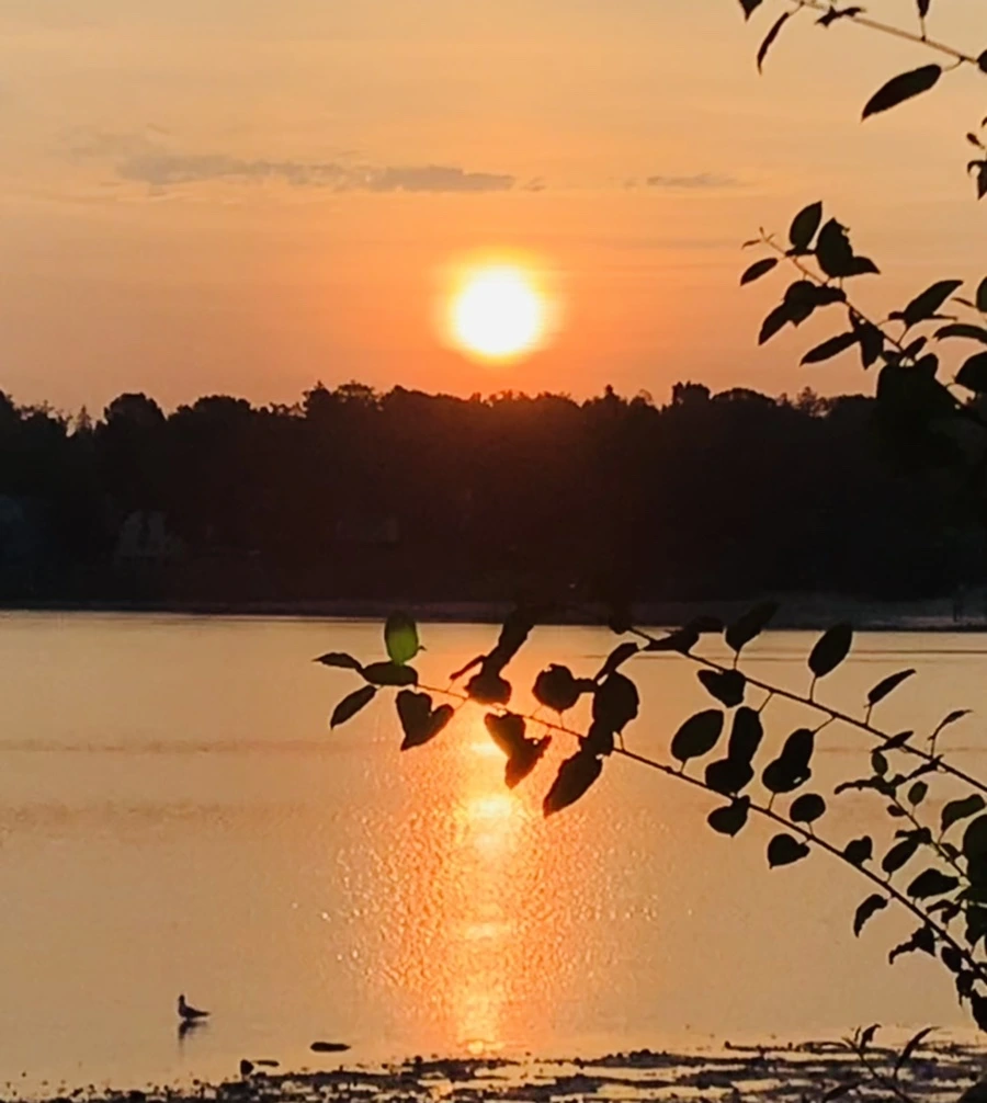 IMG_7738.jpg?type=w966