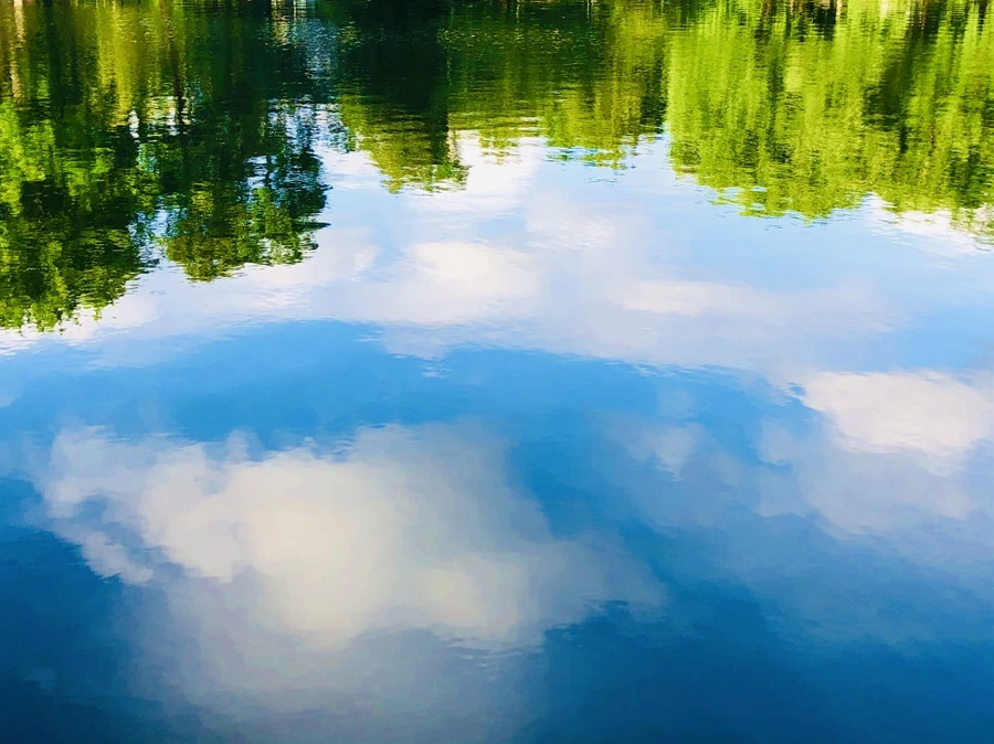 IMG_2938.jpg?type=w966