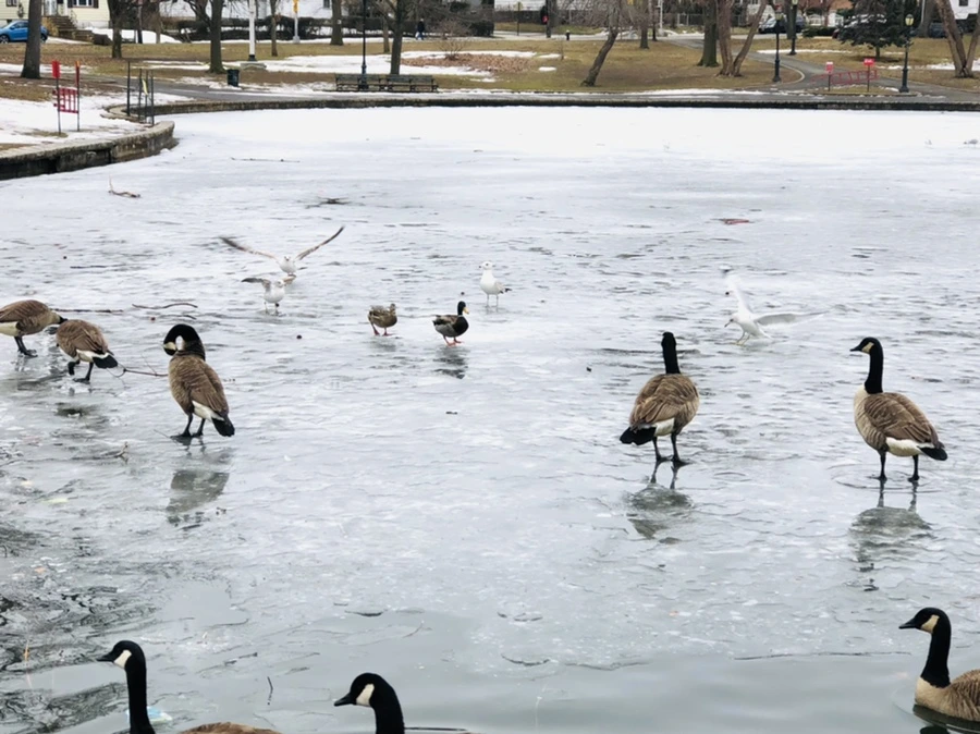 IMG_6156.jpg?type=w966