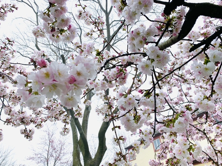 IMG_0568.jpg?type=w966