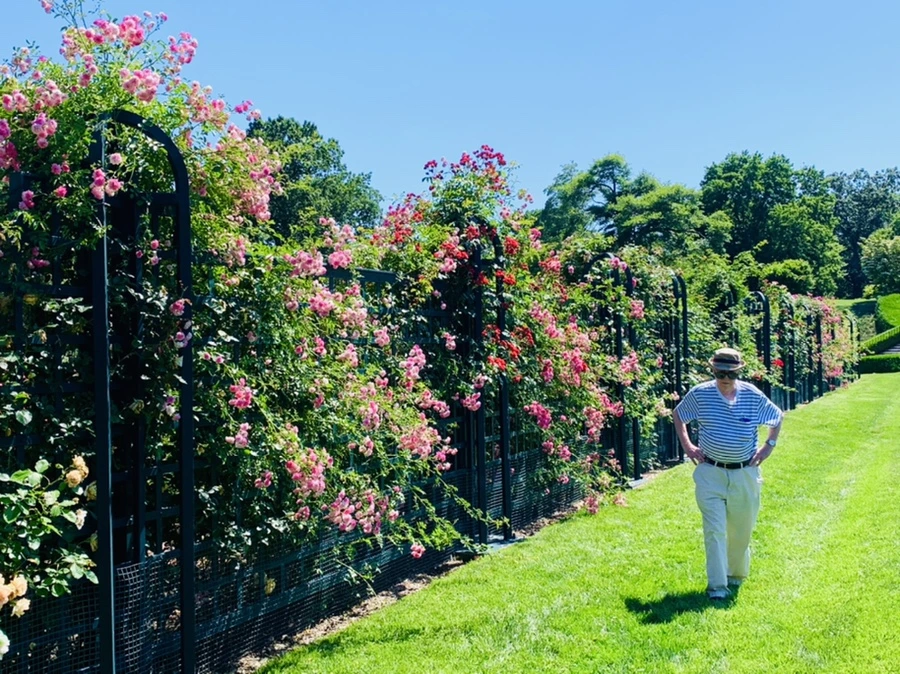 IMG_4731.jpg?type=w966