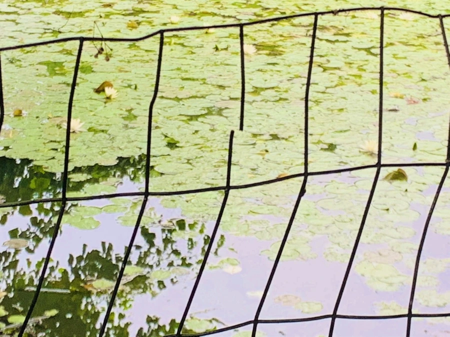 IMG_4679.jpg?type=w966