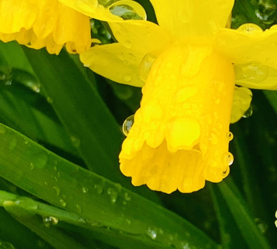 IMG_3754.jpg?type=w966