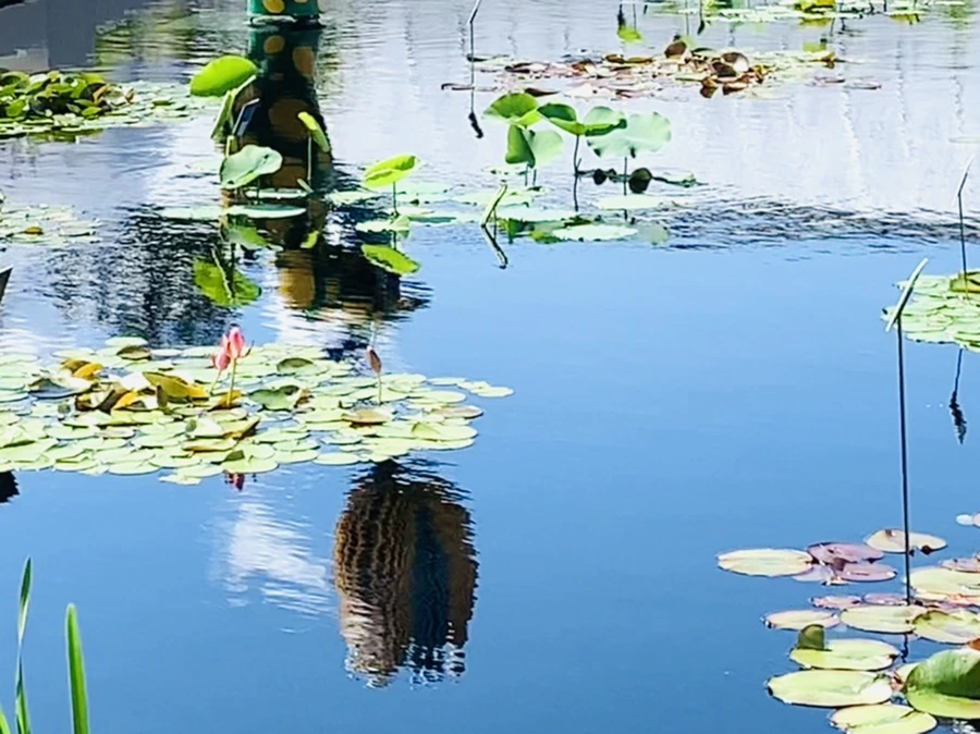 IMG_2133.jpg?type=w966