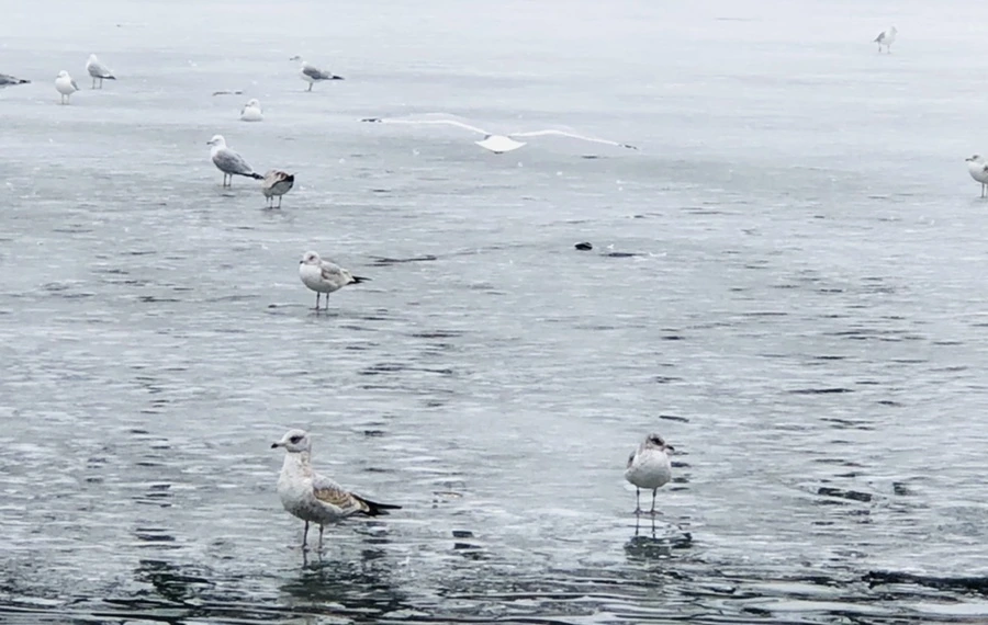 IMG_6055.jpg?type=w966