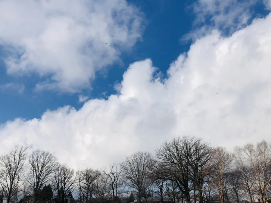 IMG_3516.jpg?type=w966