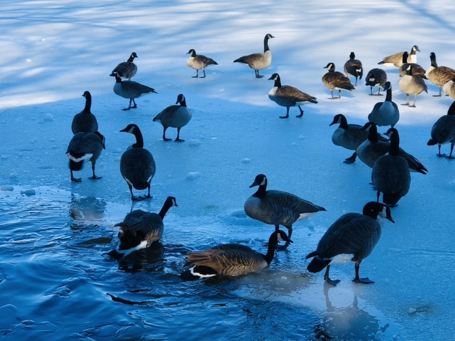 IMG_9923.jpg?type=w966