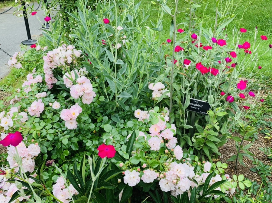 IMG_2911.jpg?type=w966