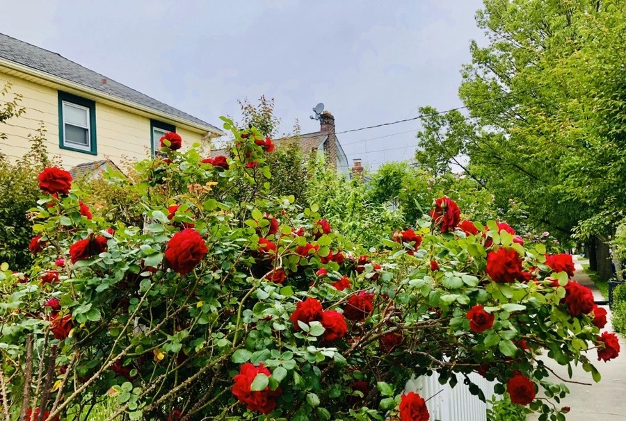 eCKhp-fhpVo4805oW95O17QB3ZQ