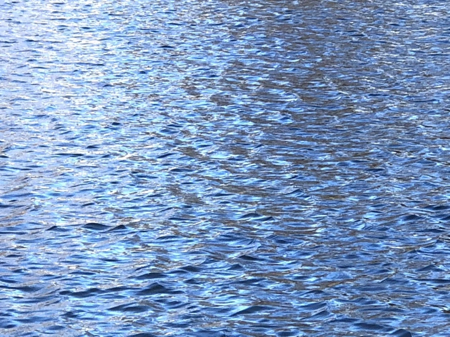 IMG_3843.jpg?type=w966