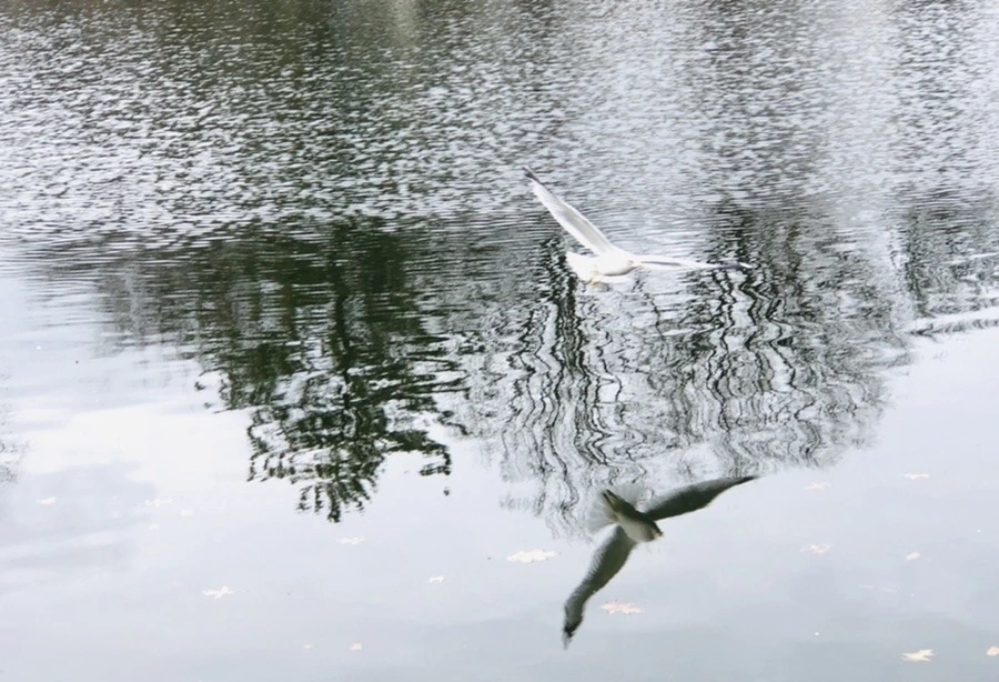 iDRDWnDJkMtvDw-iE27TOAxWujk