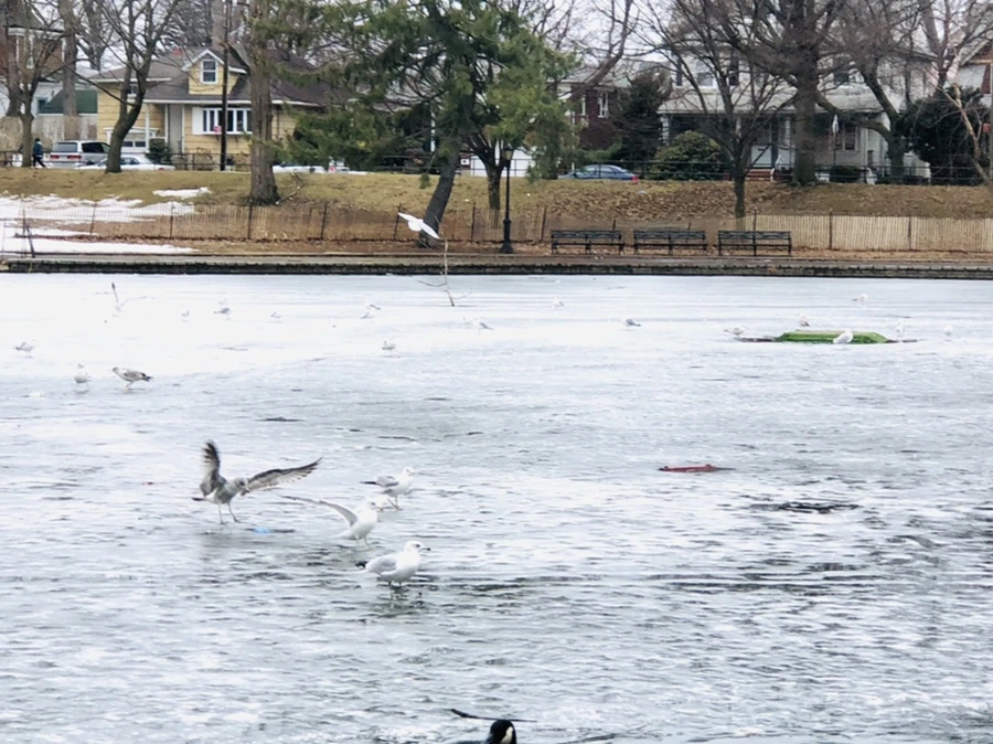 IMG_6139.jpg?type=w966