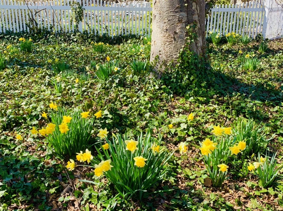 IMG_5697.jpg?type=w966