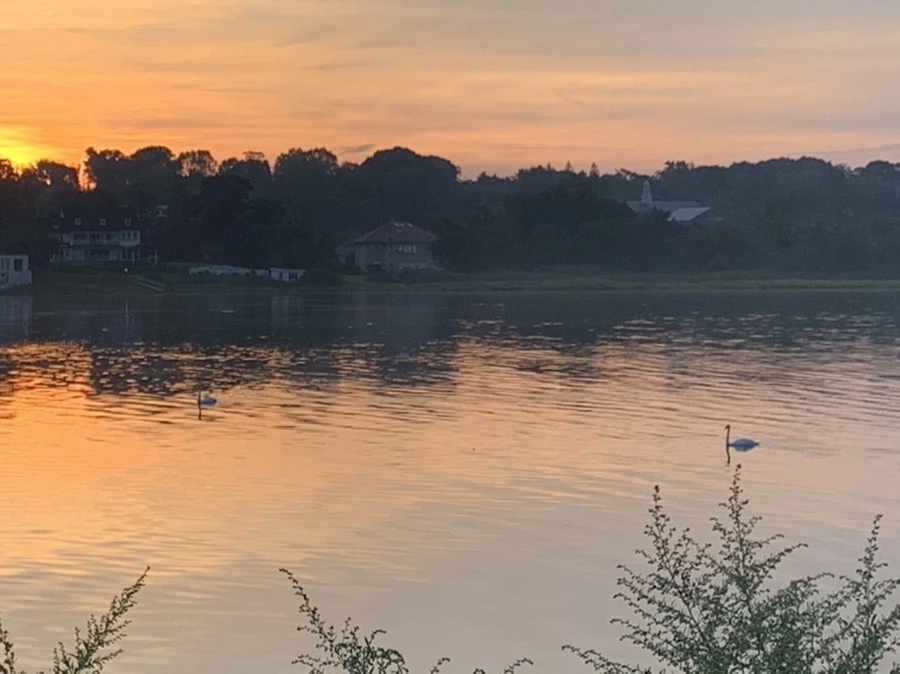 IMG_6808.jpg?type=w966