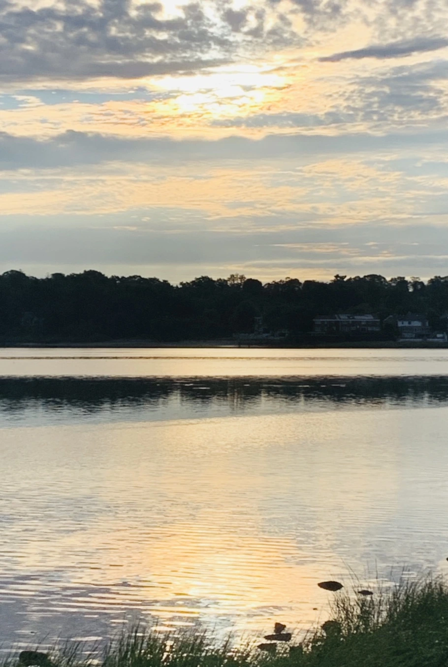 IMG_7744.jpg?type=w966