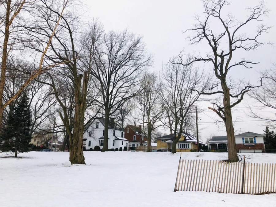 IMG_4382.jpg?type=w966