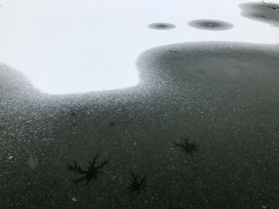 IMG_6112.jpg?type=w966