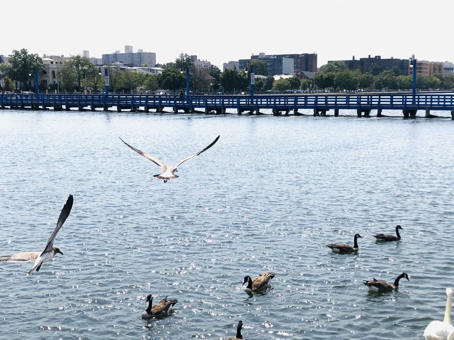 IMG_8476.jpg?type=w966